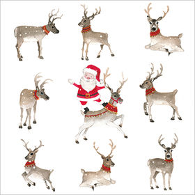 XC169 - Nine Reindeer & Santa