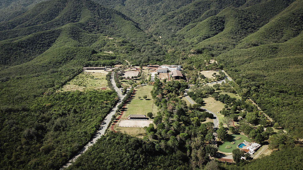 DJI_0377