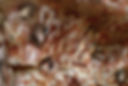 Cueva de las Manos 2.jpg