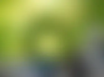 The Hidden Heroes of Waste: Inside the World of E-Waste Recycling