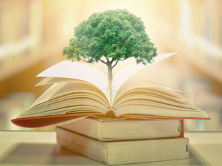 Sustainable Scholars: Progress in Environmental Education 