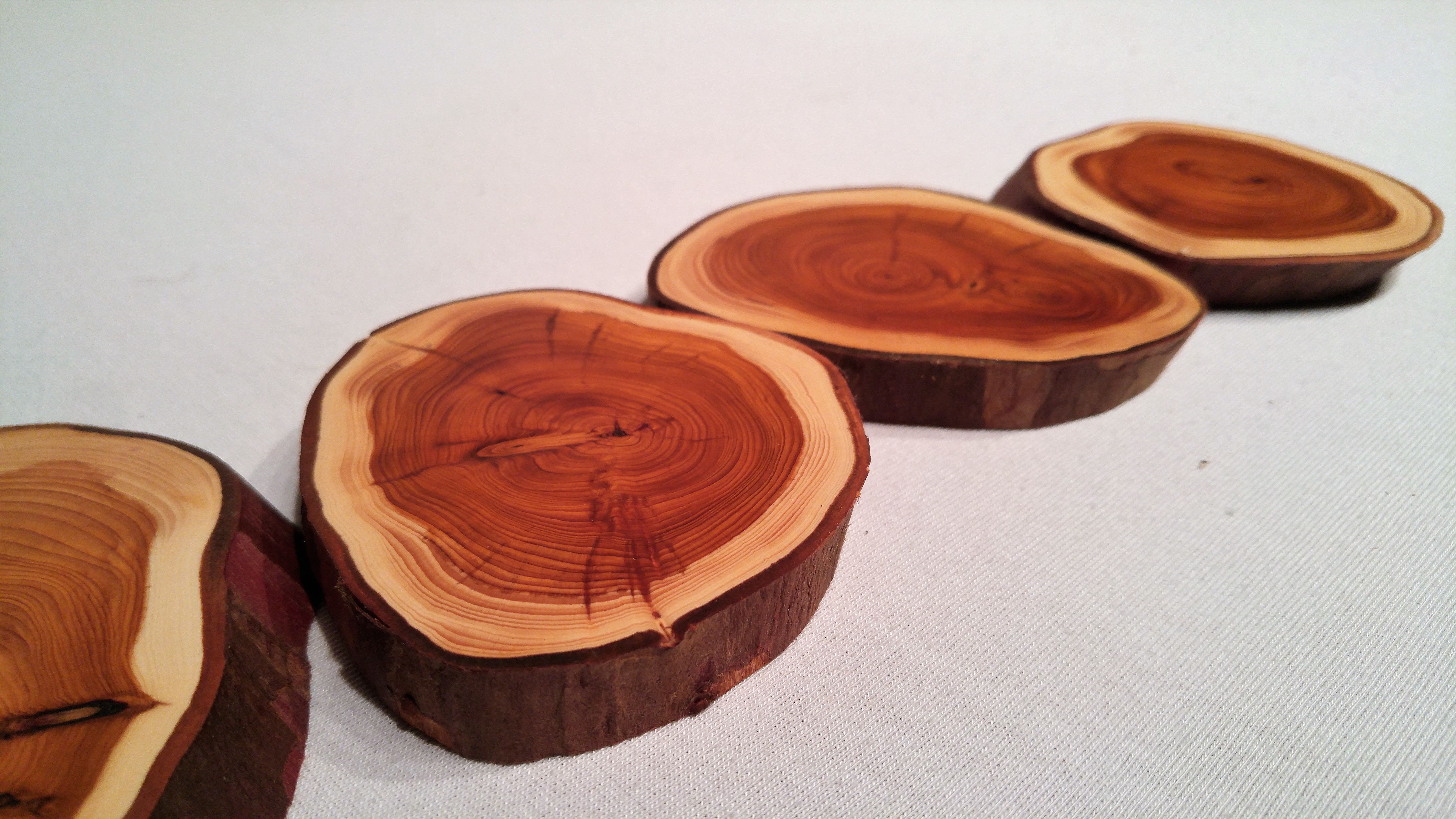 Live Edge Coasters