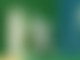 Warum ich nach 50 Jahren der Zugehörigkeit, die Organisation der Zeugen Jehovas verlassen habe.