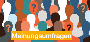 Warum Umfrageergebnisse mit Skepsis zu betrachten sind.