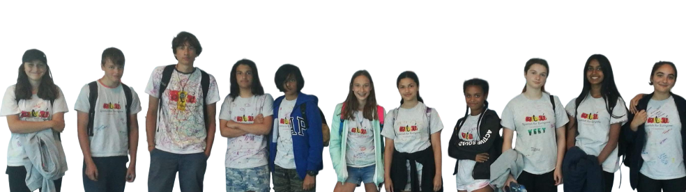 immersion trips 1 (984 x 276 px)_edited.png