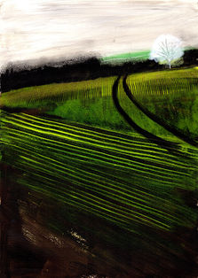 Ghost Tree and Winter Wheat.jpg