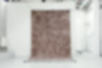 BACKDROP #2