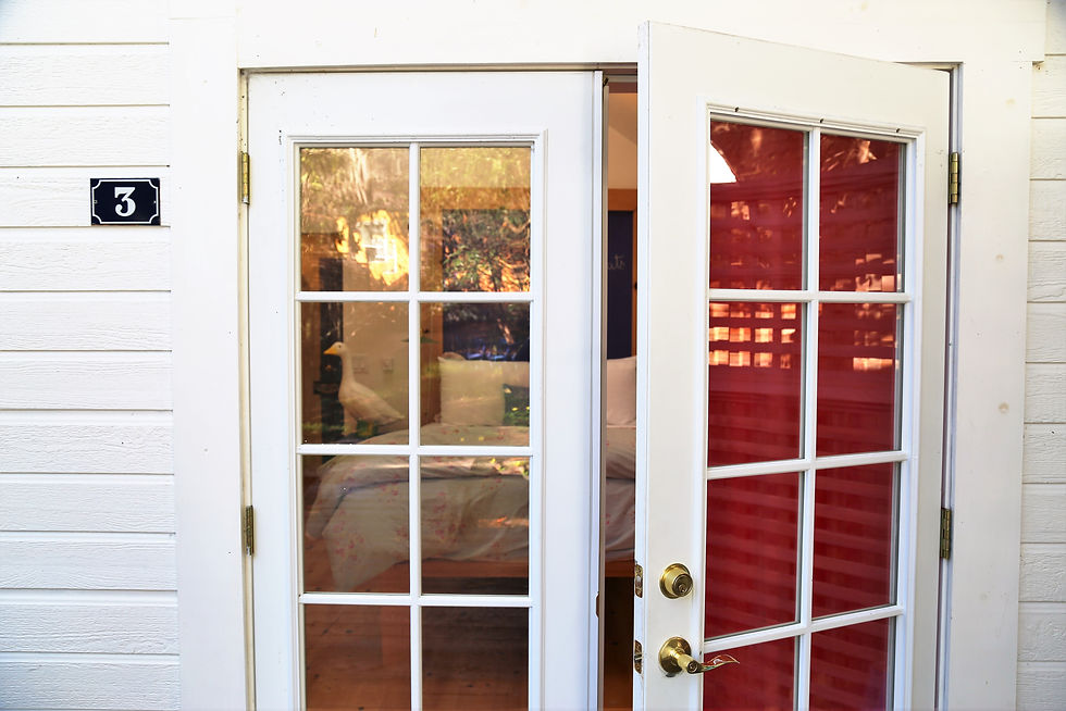 Peek Inside