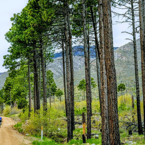 Veterans Day Ride Fundraiser
