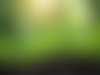 Streamline Your ESG Certification with ESG Verified