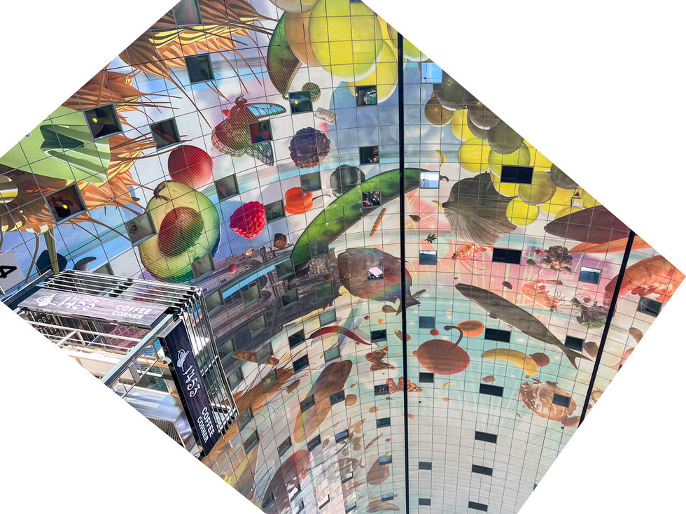 Market Ceiling, Rotterdam