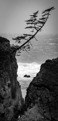 California Coast