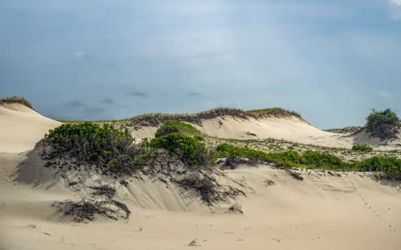 Dunes Cape Cod National Seashore