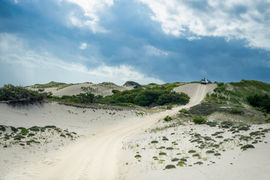 Dunes: Cape Cod National Seashore