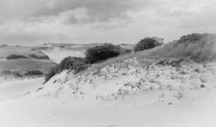 Dunes: Cape Cod National Seashore