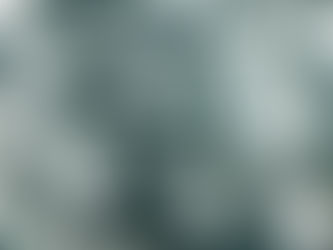 Unveiling the Mystery: Jadeite vs. Jade - A Chinese Connoisseur's Perspective
