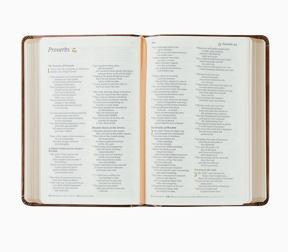Thumbnail: Nlt Compact Bible: Aurora Theme