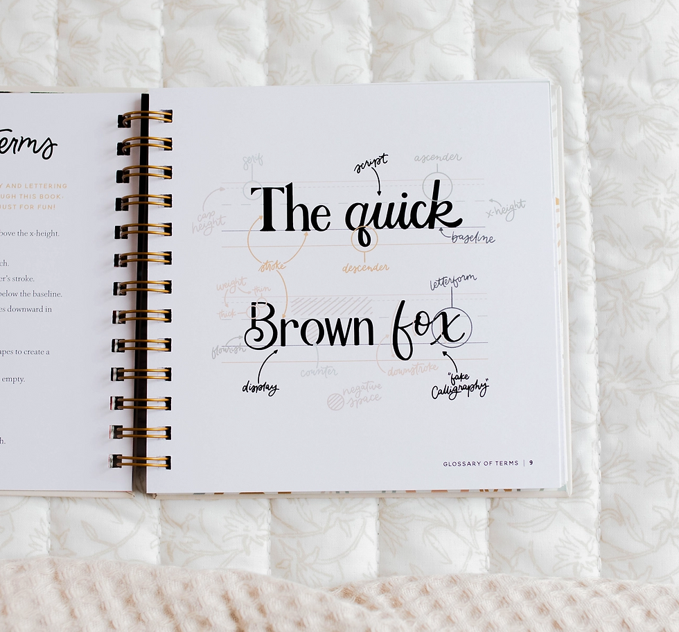 Thumbnail: Daily Grace Scripture Lettering Workbook