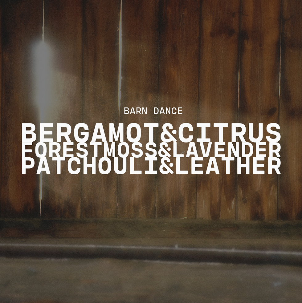 Thumbnail: 5.5 oz Wax Melts: Barn Dance