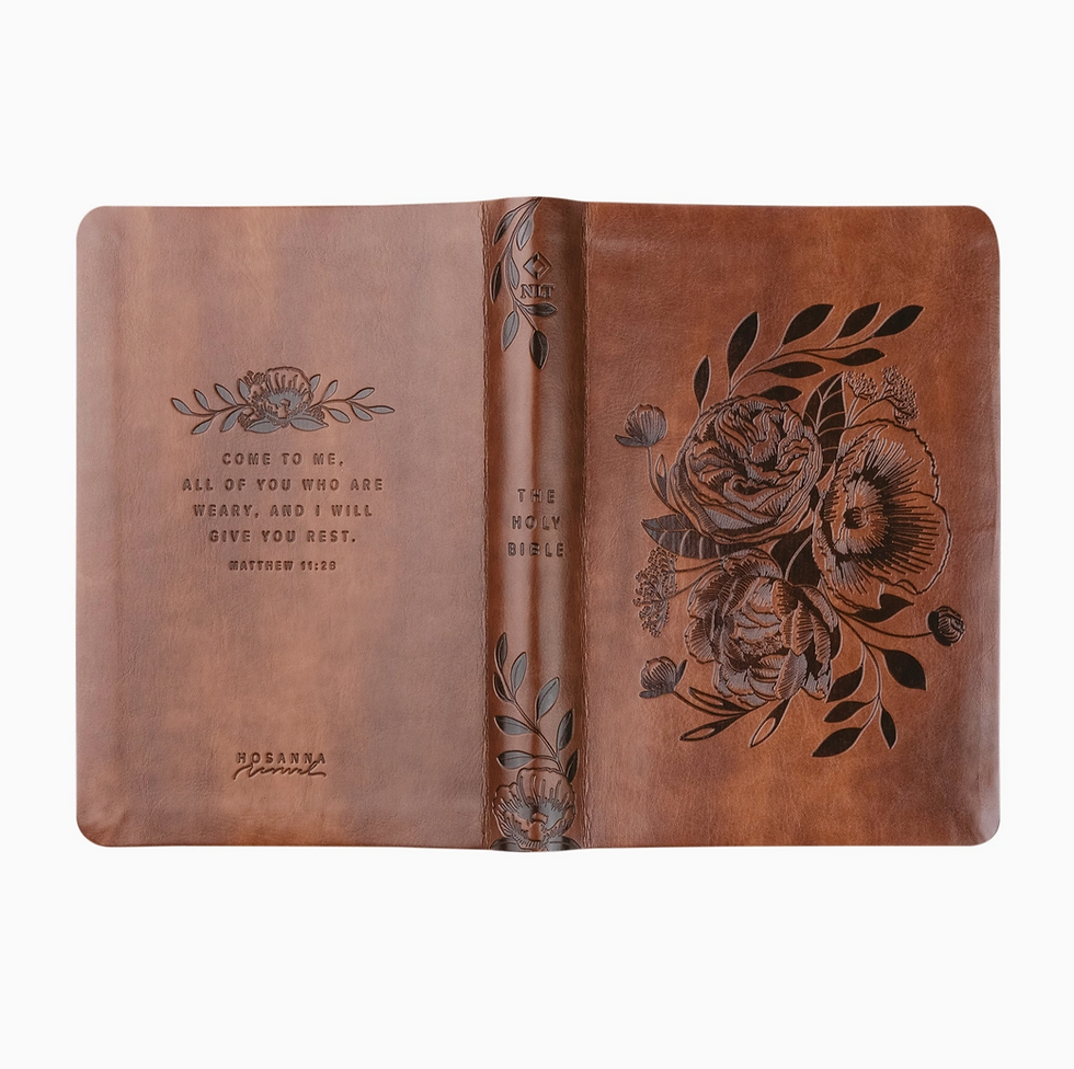 Thumbnail: Nlt Compact Bible: Aurora Theme