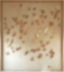 IMG-20141217-WA0015