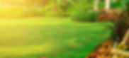 header-trees-plants-garden.jpg