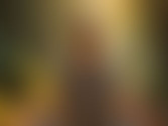 Awakening to Joy: Small Practices That Brighten My Every Day