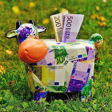 online Geld verdienen ; wieviel Geld verdienen bei HeyPiggy ; ist heyPiggy serioes ; online geld verdienen