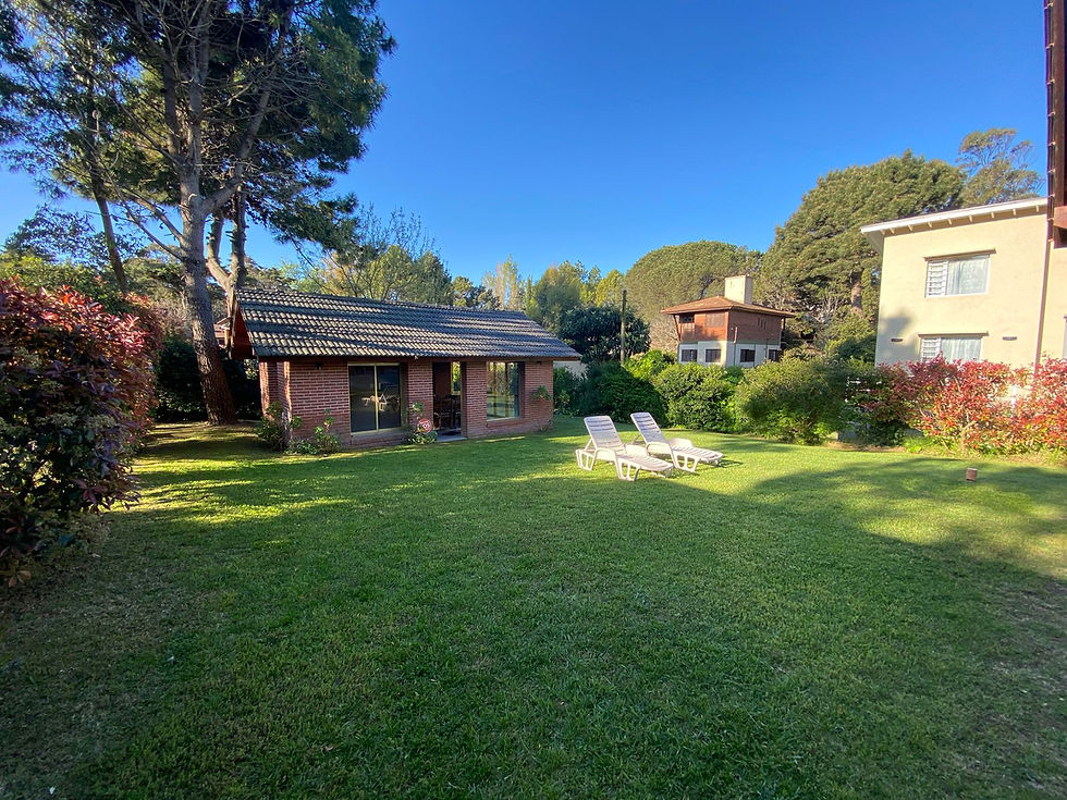 Miniatura: "Los Matices"-Valeria del Mar