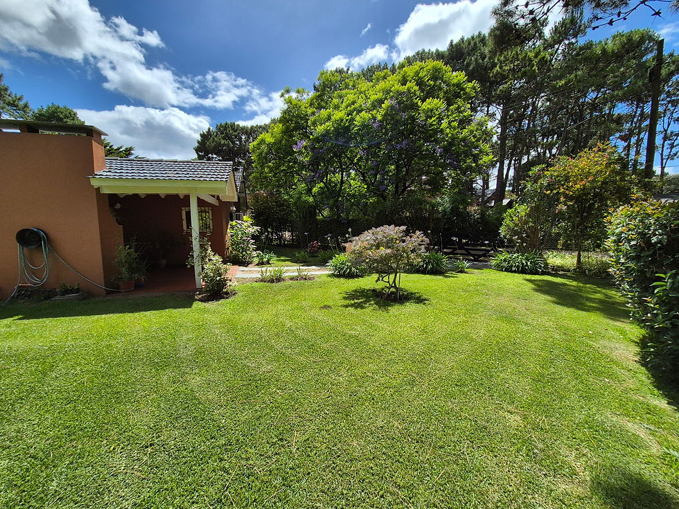 Miniatura: Juan Diaz de Solís al 1300