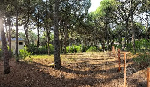 Miniatura: Lote 17 MZ 249-Pinamar Norte