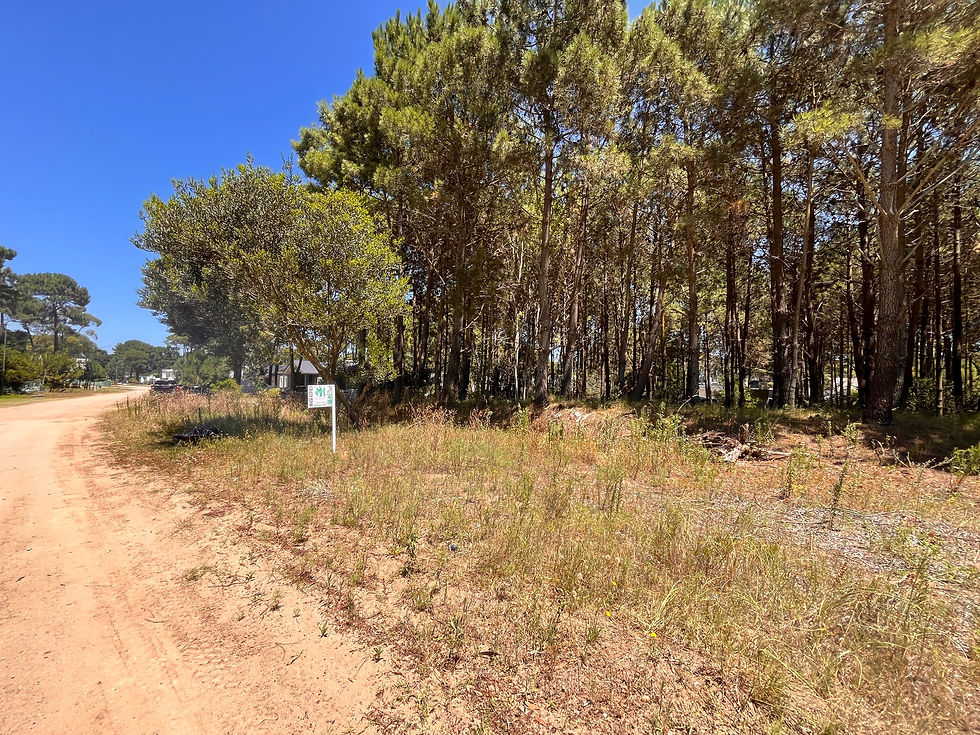 Miniatura: Lote 4 Mz 228 - Barrio Alamos