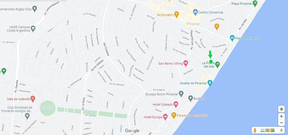 Miniatura: Delfines N°41 1° E