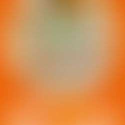 レノファ山口様オレンジドリームパークイラスト