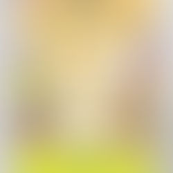 パストラルウインドオーケストラ 創立30周年記念演奏会フライヤー