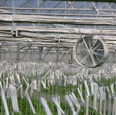 SERA YETİŞTİRME ORTAMI EKİPMANLARI