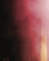 Untitled (7).png