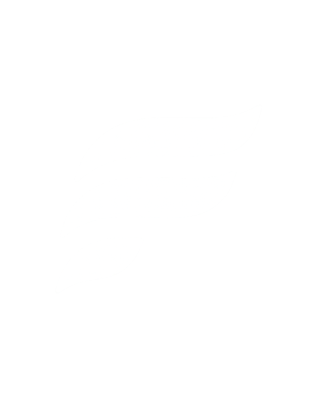 ICONE FLUXITECH (1).png