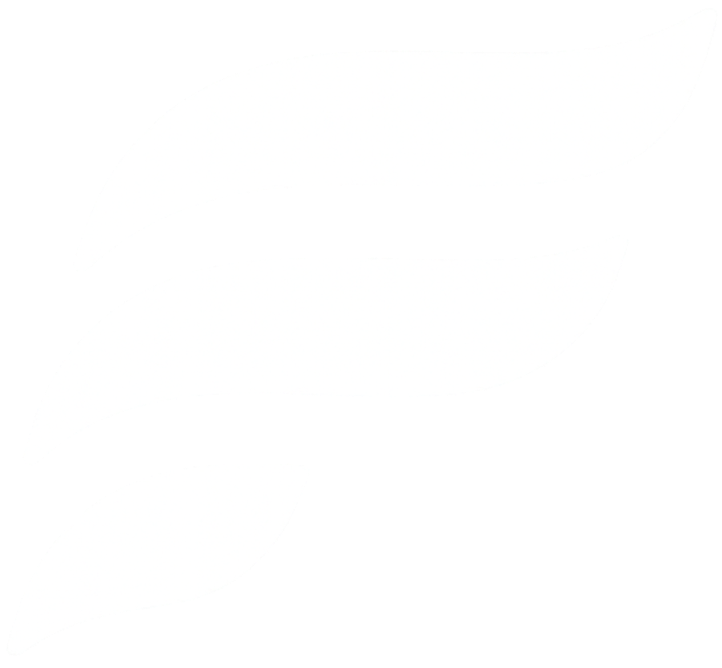 ICONE FLUXITECH (1)_edited.png