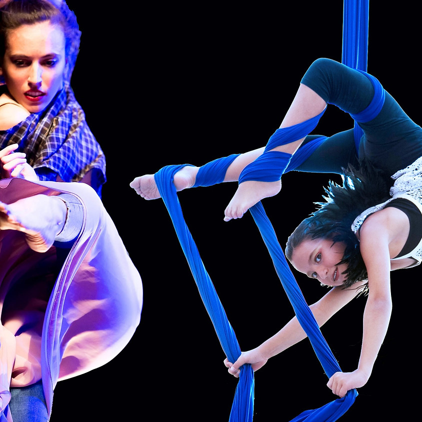 Festival Salat- Marató d'espectacles - (Teatre des Born)