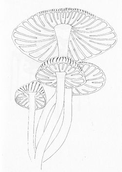 Page 24_25 IMG_0010_edited