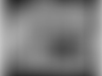 L’architecte du Capitole a également laissé sa marque à La Nouvelle-Orléans