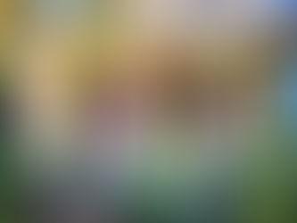 Mardi Gras 2021 : et si l’on transformait nos maisons en chars ?  