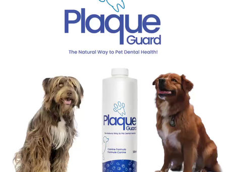 Goodbye, HealthyMouth. Hello, Plaque Guard!