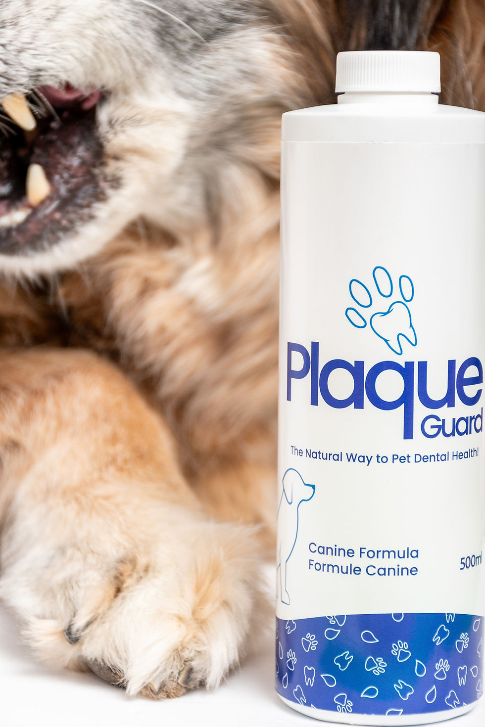 Thumbnail: Plaque Guard Canine Formula