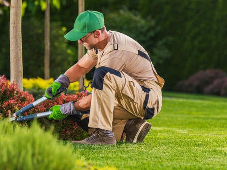 Best Lawn Care Service