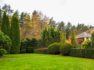 Oakville Lawn Care Services, Lawn Care Oakville for Reliable Green Lawns