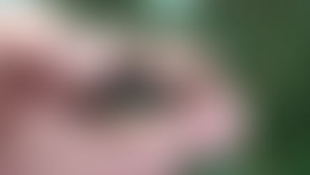 新魚報報|2023.07.15