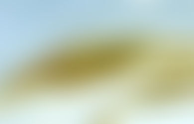 新魚報報 | 2024.11.27