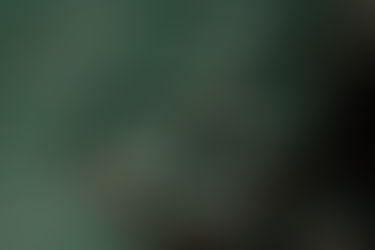 Corydoras guapore 瓜波鼠群游